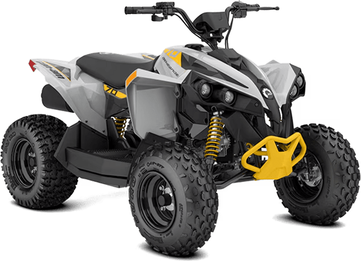 Can-Am RENEGADE 70 EFI 2025, цвет Catalyst Gray/Neo Yellow