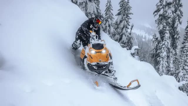 Райдер на снегоходе Ski-Doo среди заснеженных хвойных деревьев