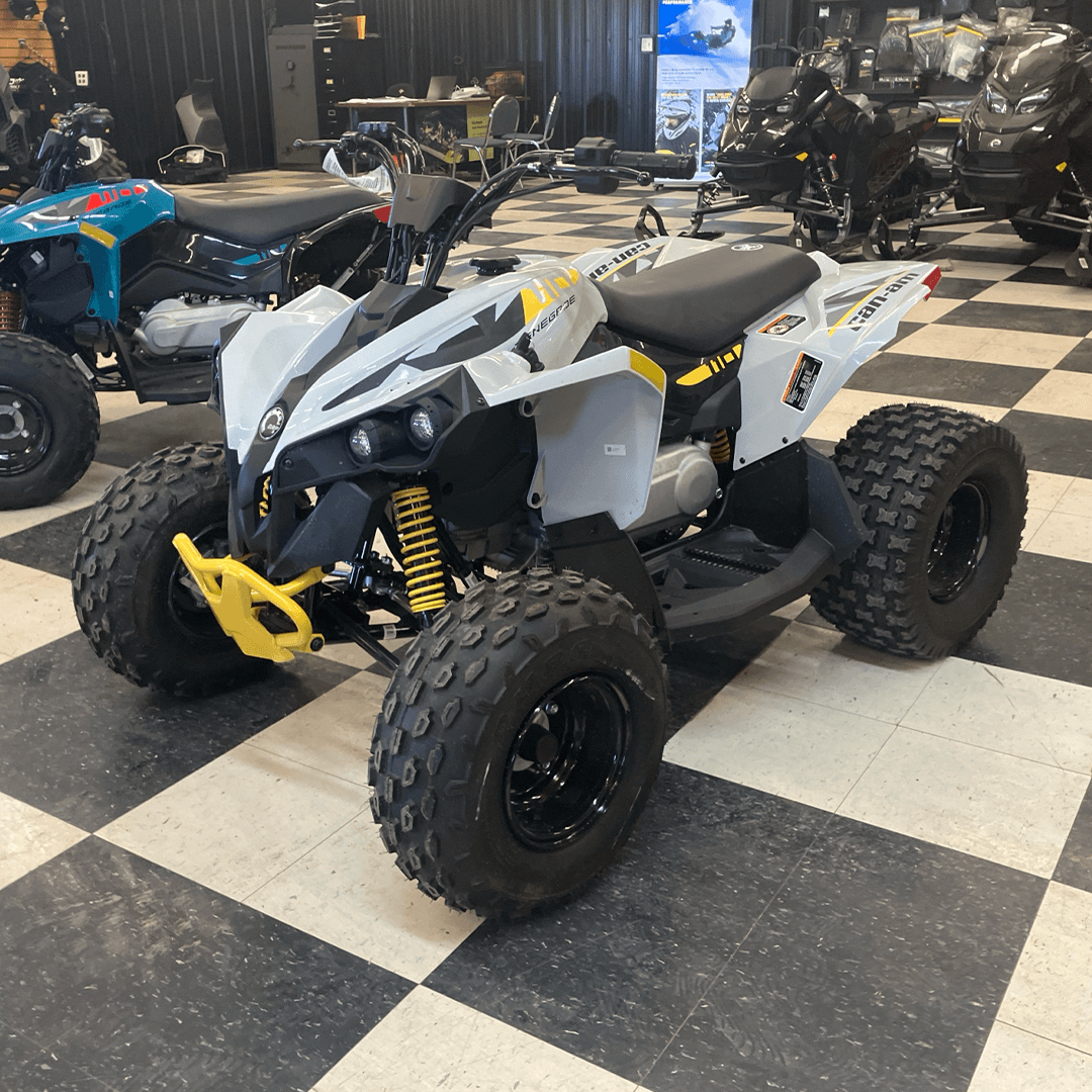 Can-Am RENEGADE 110 EFI 2025 — фото 5