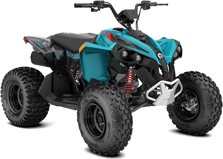 Can-Am RENEGADE 110 EFI 2025, цвет Iceberg Blue / Black