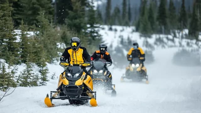 Три водителя на снегоходах Ski-Doo едут по заснеженной лесной трассе