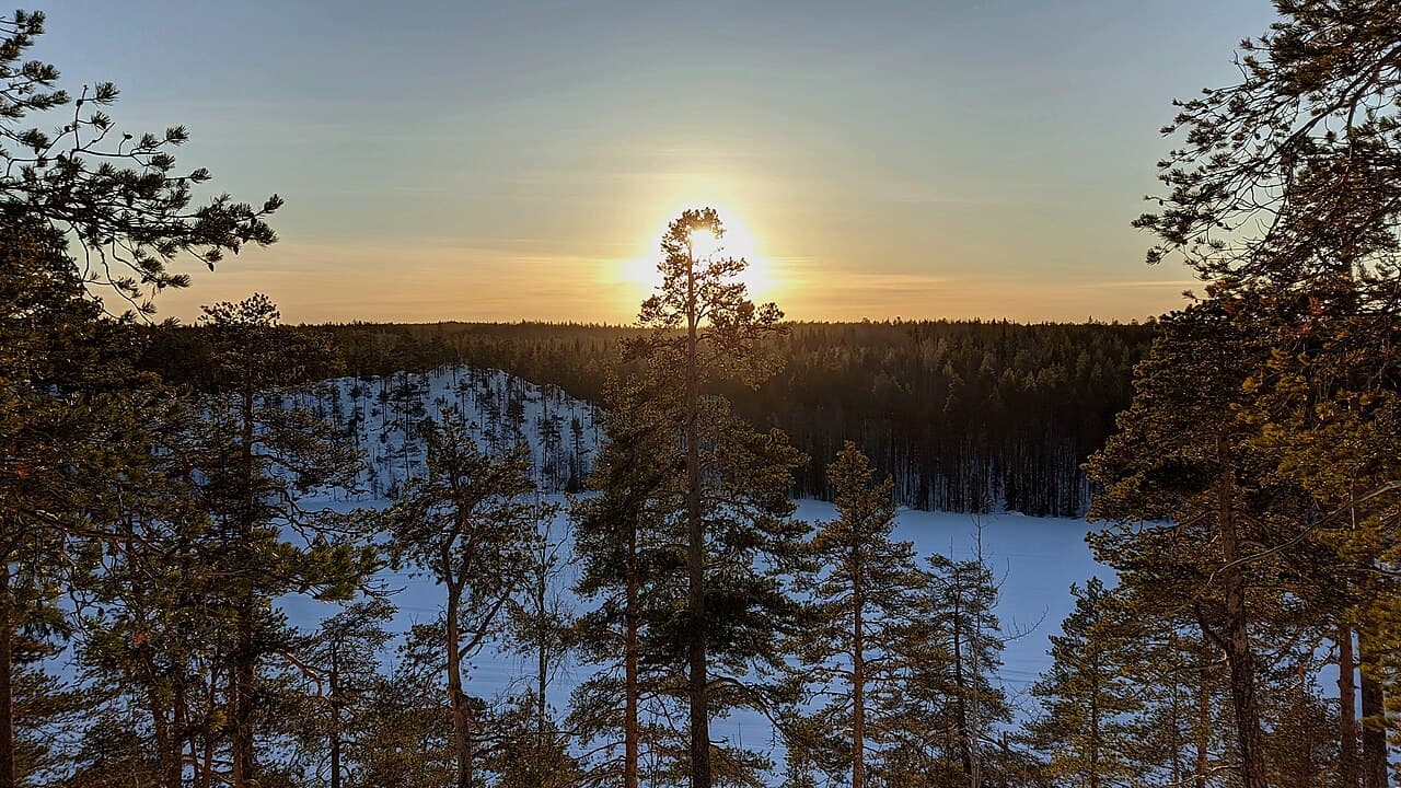Зимний лес Карелии, 4 февраля 2023 года.