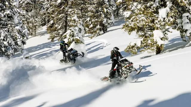 Два райдера на Ski-Doo едут по глубокому снегу среди деревьев