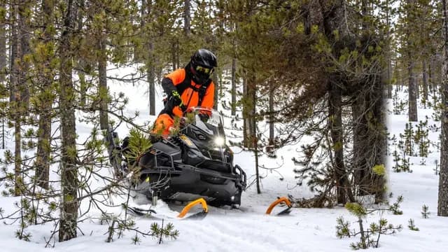 Ski-Doo Tundra LE 2027 с двигателем 600 EFI между деревьями