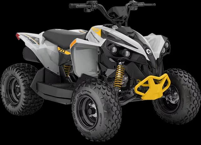 Can-Am RENEGADE 70 EFI 2025, цвет Catalyst Gray/Neo Yellow