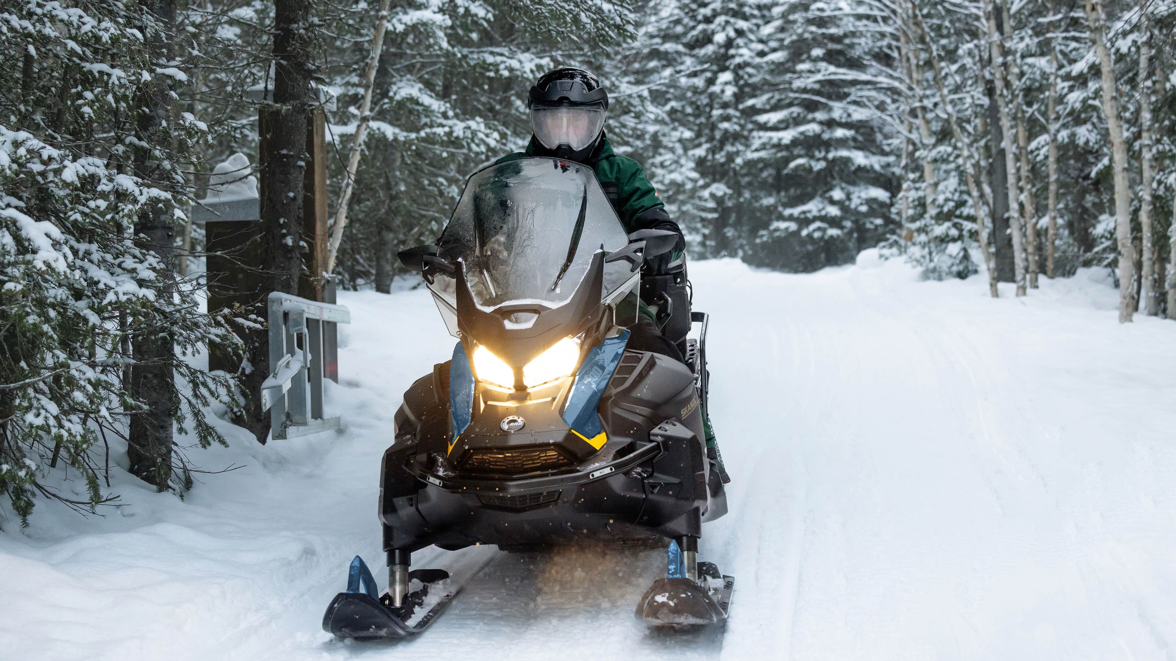 Фото Ski-Doo: снегоход на лесном маршруте, съёмка MY25.